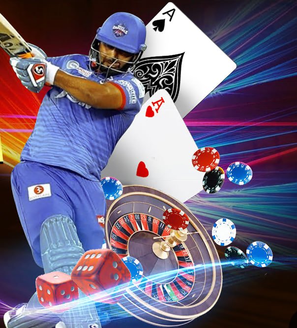 baggo net