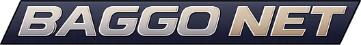 Baggo Net